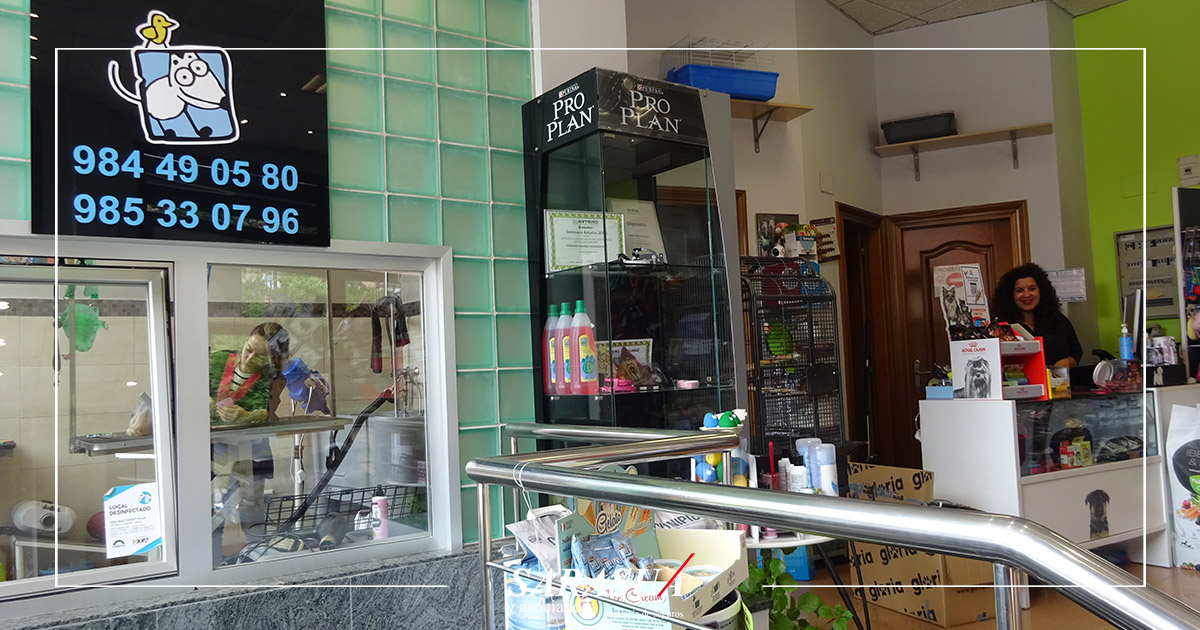 Tienda de mascotas Master Can en Gijón